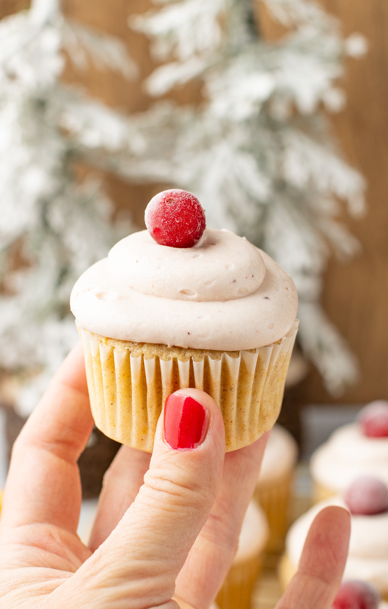 Spiced Orange Cupcakes with Cranberry Frosting