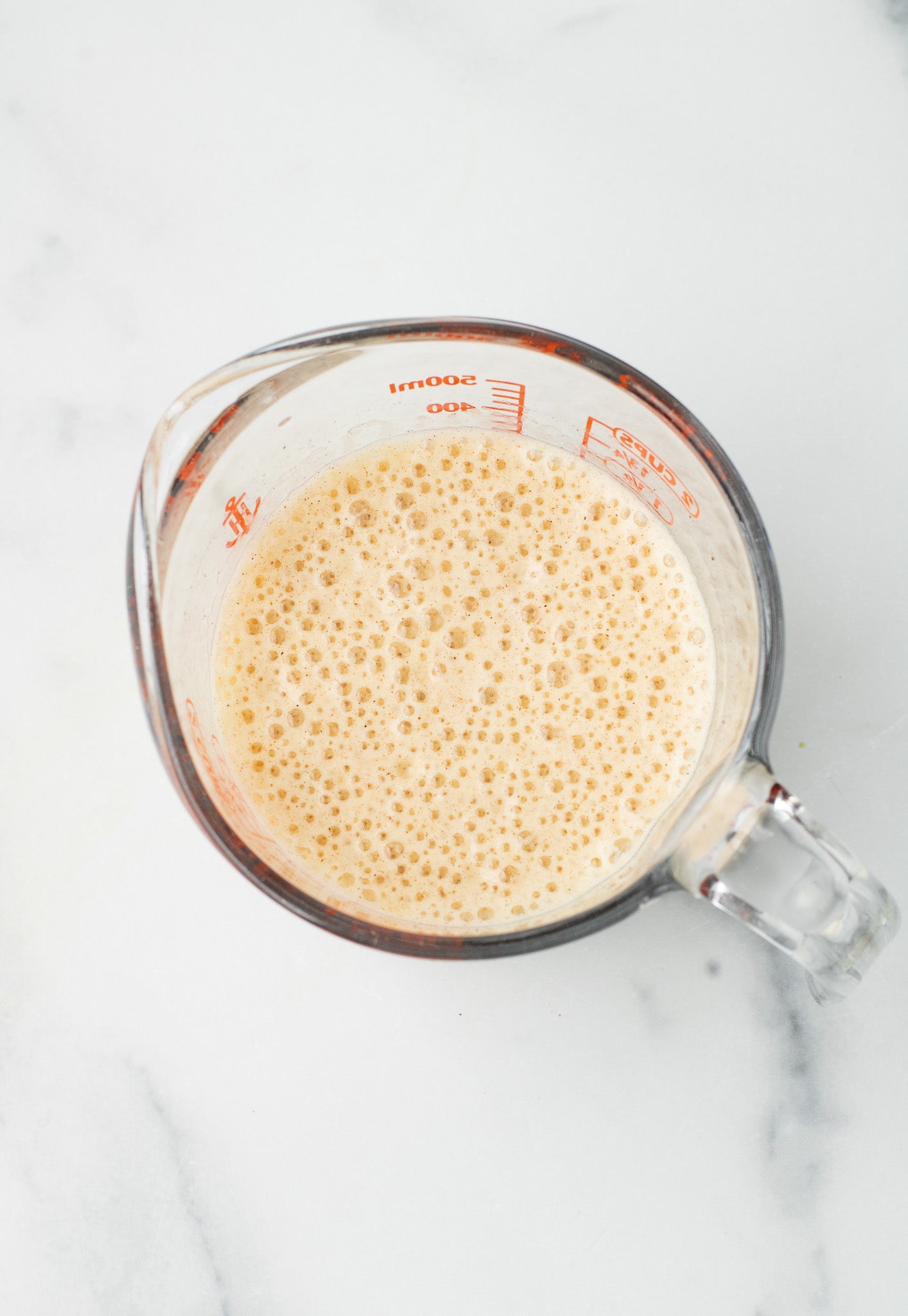 Gingerbread Matcha Latte