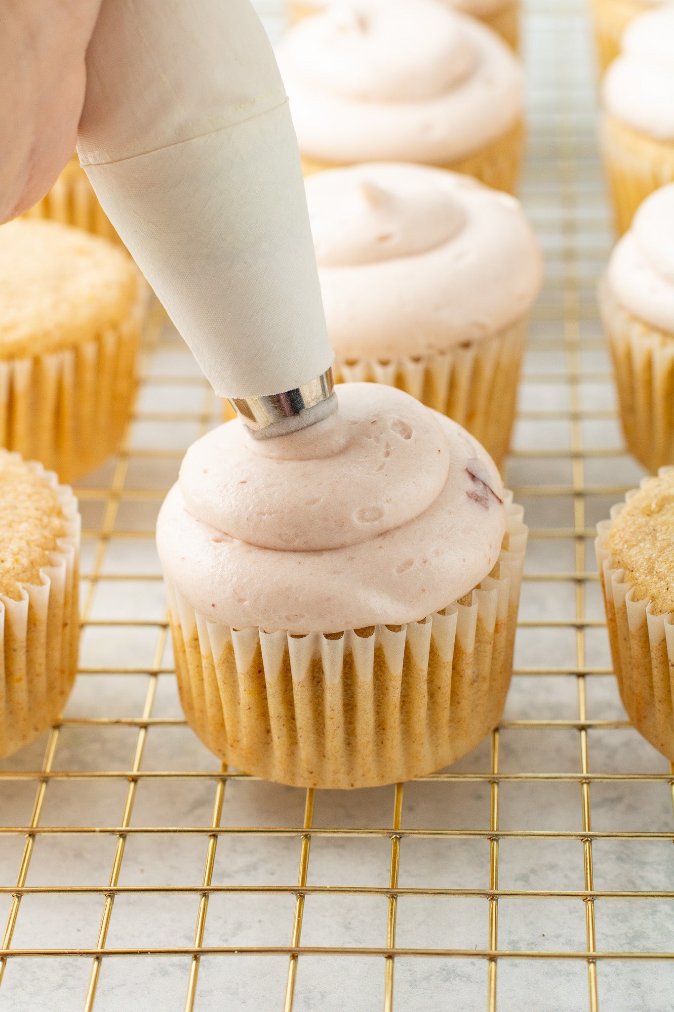 Spiced Orange Cupcakes with Cranberry Frosting