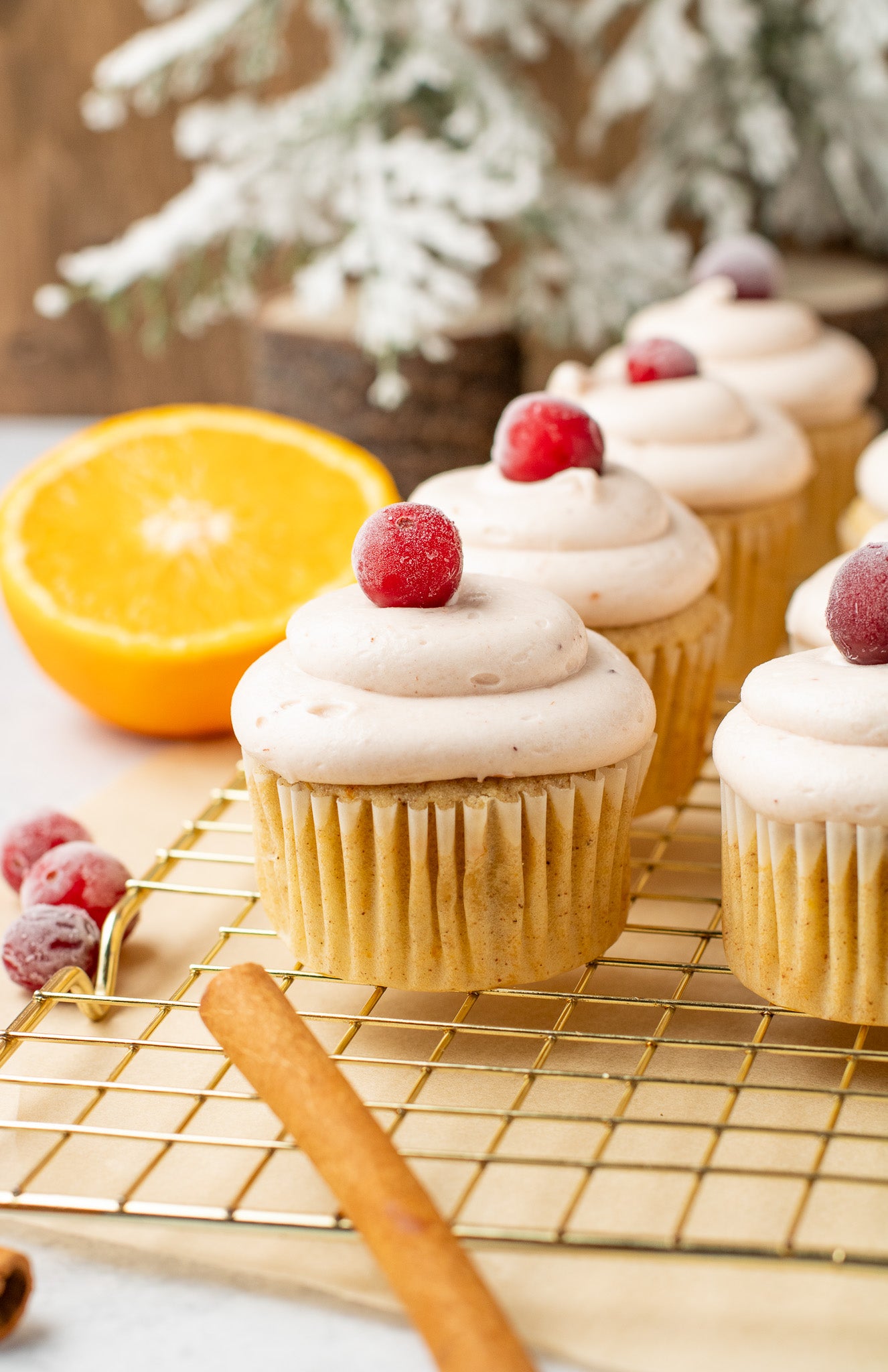 Spiced Orange Cupcakes with Cranberry Frosting
