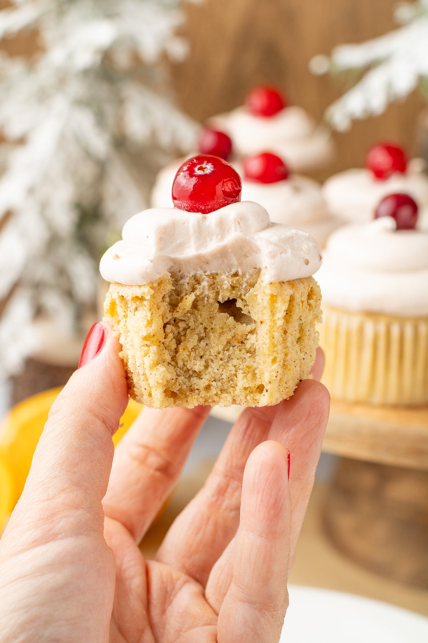 Spiced Orange Cupcakes with Cranberry Frosting